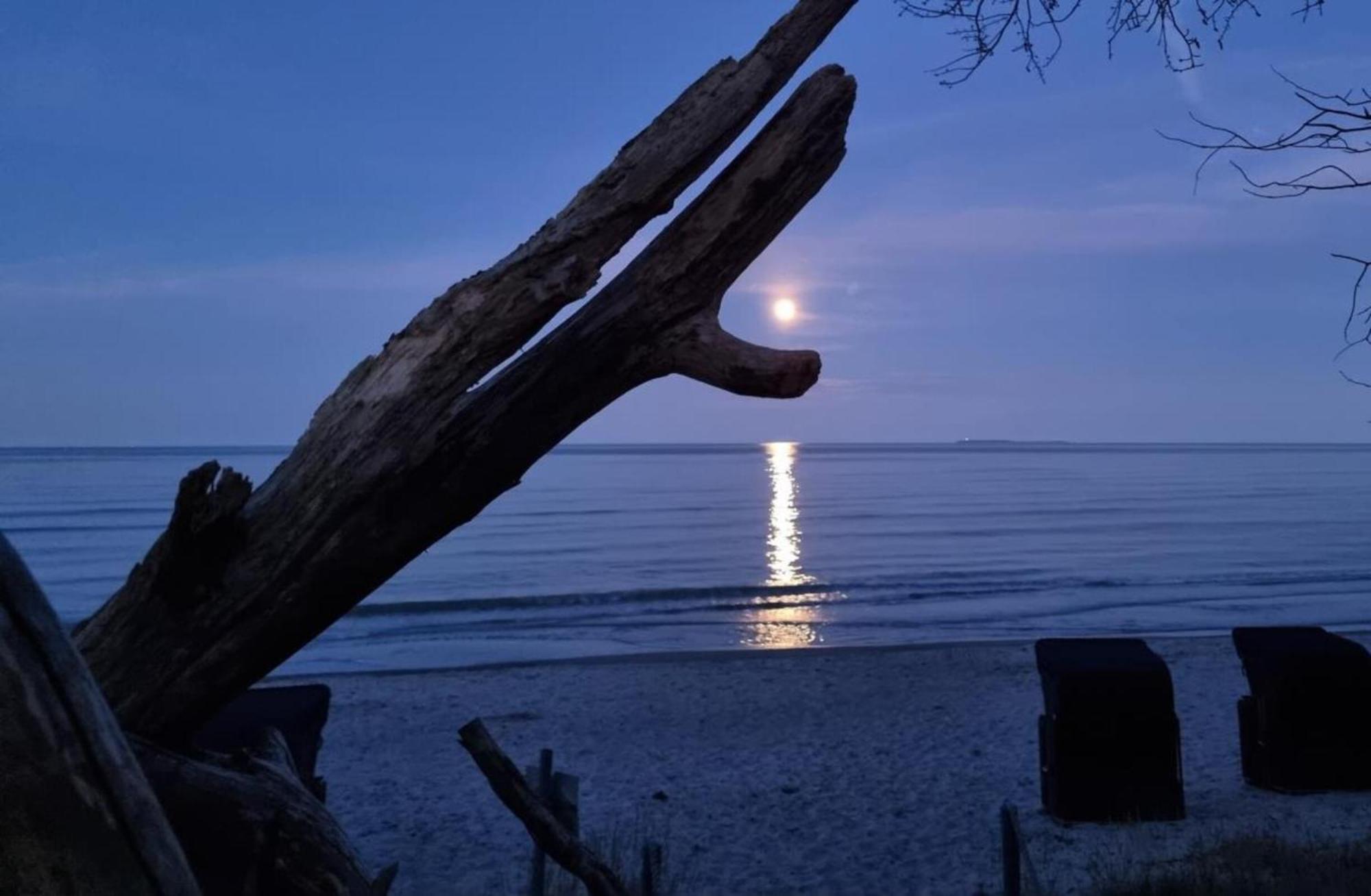 Traumhaftes Appartement - Odins Blick Wohnung 13 , Sauna Und Privatstrand, Blick Zur Ostsee Lobbe Exterior foto